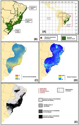 Current and paleoclimate models for an Atlantic Forest kissing bug indicate broader distribution outside biome delimitations